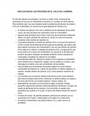 Procesos en el ciclo del carbono.