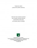 Español PROGRAMA DE ADMINSTRACION FINANCIERA