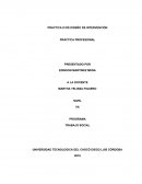 Practica social y profesional