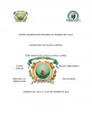 HOMICIDIOS DE JUAREZ