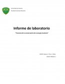 Teorema de la conservación de la energía mecánica