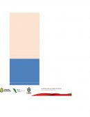 Modificacion de conducta infantil