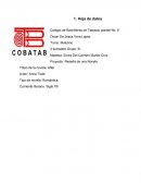 Romántica Corriente literario: Siglo XX