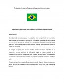 Analisis tendencial del Ambiente de negocios en Brasil