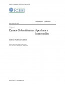 Pymes colombianas: apertura e innovacion