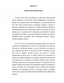 CAPÍTULO I INTERACCIÓN COMUNITARIA