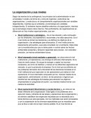La organización y sus niveles