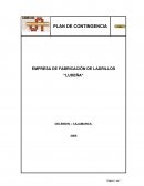 PLAN DE SEGURIDAD INDUSTRIAL SALUD OCUPACIONAL Y MEDIO AMBIENTE