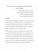 Sector de cuero calzado y marroquineria Ciudad de Bogota