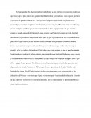 Reflexion de Integradora 2 Sociales.