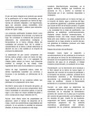 Panificacion. Etapas del proceso de panificación