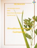 VARIABLES DE LA PROMOCIÓN.