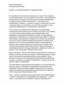 ENSAYO EL COMPORTAMIENTO ORGANIZACIONAL