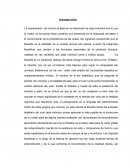 Filosofía, vida y realidad