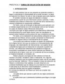 PRÁCTICA 2- TAREA DE SELECCIÓN DE WASON