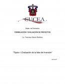 FORMULACIÓN Y EVALUACIÓN DE PROYECTOS