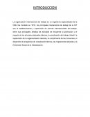 ORGANIZACIÓN INTERNACIONAL DEL TRABAJO . Como opera la OIT