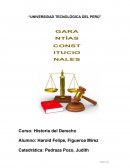 Garantías Constitucionales Habeas Corpus, Acción de Amparo y Habeas Data