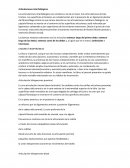 Articulaciones interfaangicas.