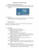 Restricciones del proyecto caso Dubai