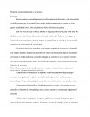 Propuesta y conceptualización de un negocio