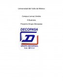 E Business. Grupo Decopasa S.A de C.V