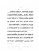 AVANCE I Aproximación al Objeto de Estudio Problematizado