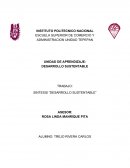 TRABAJO: SINTESIS “DESARROLLO SUSTENTABLE”