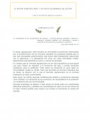 Mercado agropecuario.