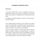 Ensayo Investigacion Mercados.