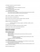 Pasos: Examinar factores estratégicos de cada UEN, áreas donde puede mejorar cada UEN, como la matriz encaja en cada UEN. Se crean centros de excelencia.