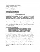 Células bastones y conos