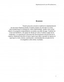 Implementacion de una microfinanciera