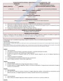 PLAN ARTES VISUALES BLOQUE.