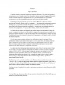 Tipos de Datos, lenguajes diferentes