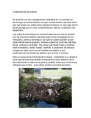 Proyectos institucionales.