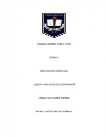 Adecuacion curricular. La historia del curriculum. Página 1