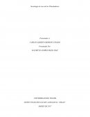 Articulo sociologia.