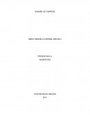SANGRE DE CAMPEÓN . Es una obra intensa, emocionante y didáctica