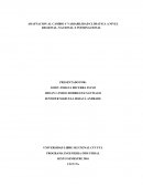 Adaptacion al cambio y variabilidad climatica a nivel regional, nacional e internacional