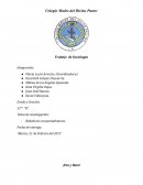 Bebedores consuetudinarios