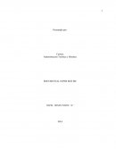 Resumen Super Size me.