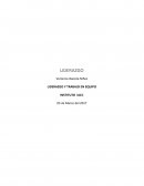LIDERAZGO Y TRABAJO EN EQUIPO.