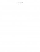 Tecnólogo Contabilidad, Finanzas E Impuestos