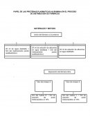 PAPEL DE AS PROTEINAS PLASMATICAS
