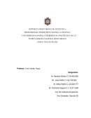 MINISTERIO DEL PODER POPULAR PARA LA DEFENSA. UNIVERSIDAD NACIONAL EXPERIMENTAL POLITÉCNICA DE LA FUERZA ARMADA NACIONAL BOLIVARIANA