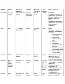 Dios padre, Jesucristo, la virgen maria, resurrección, juicio final, espíritu santo, bautismo, iglesia etc.