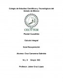 Calculo Integral Guía Recuperación