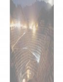 Ensayo sobre “MINERÍA ARGENTINA A CIELO ABIERTO”