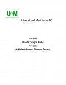 Ingeniería del valor.